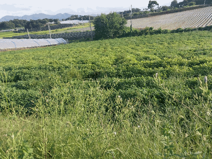 2025타경30419 사진