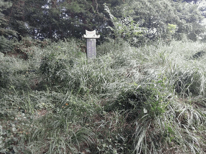 2025타경30419 사진