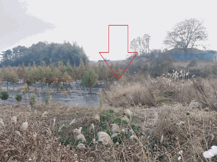 2025타경30507 사진