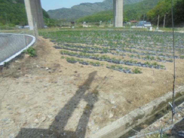 2025타경30515 사진