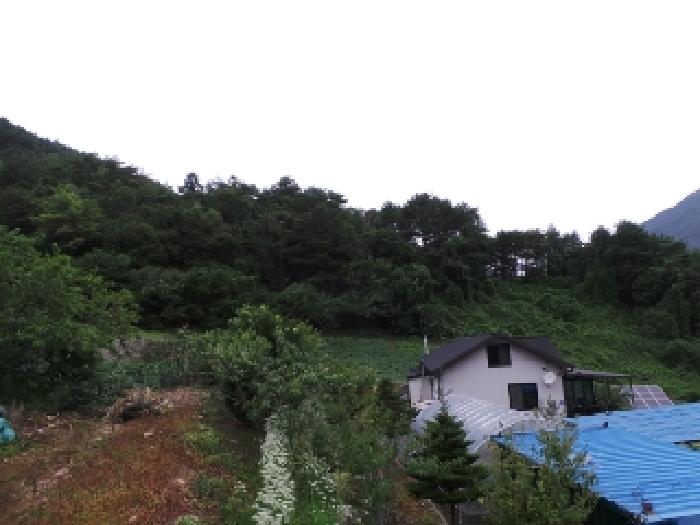 2025타경30552 사진