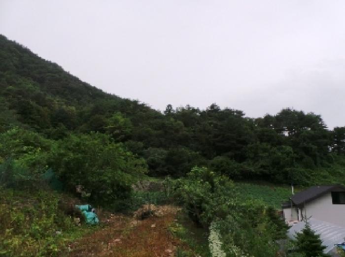 2025타경30552 사진