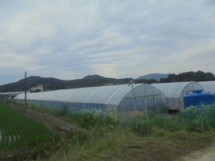 2025타경30592 사진