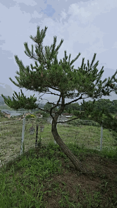 2025타경30598 사진