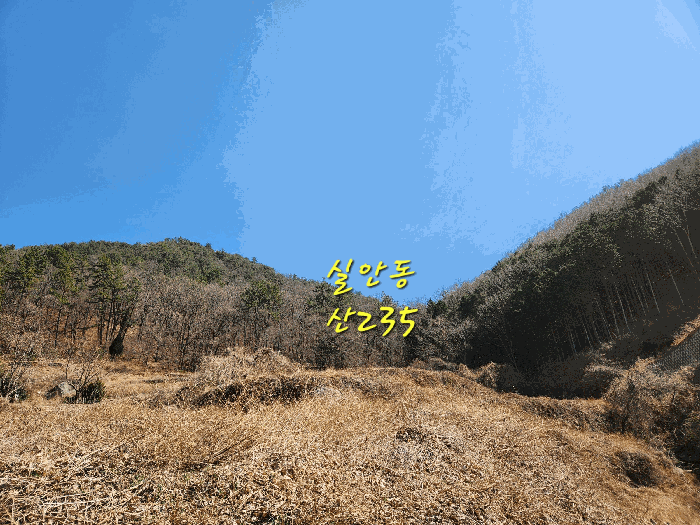 2025타경30604 사진