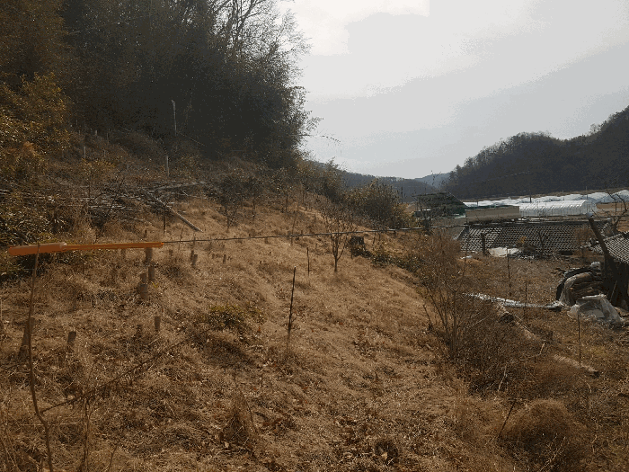 2025타경30615 사진