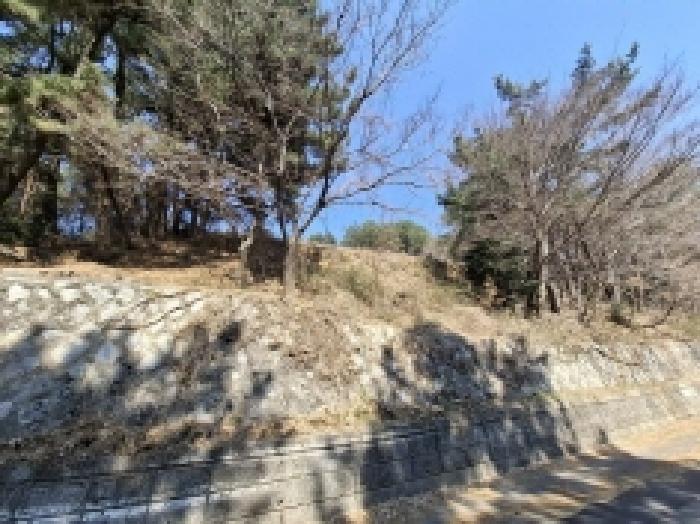 2025타경30655 사진