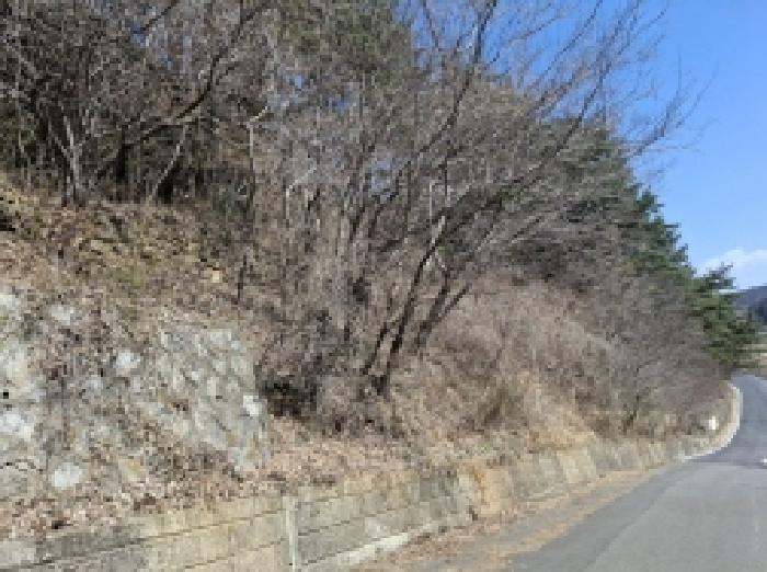 2025타경30655 사진