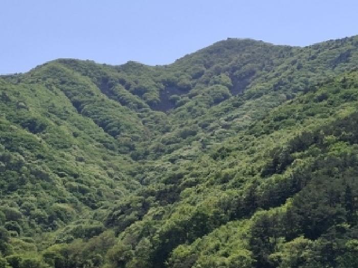 2025타경30709 사진