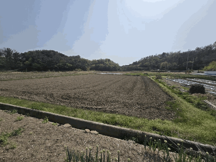 2025타경30753 사진