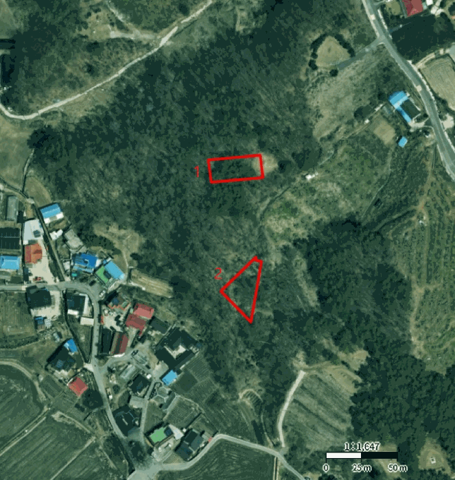 2025타경30813 사진