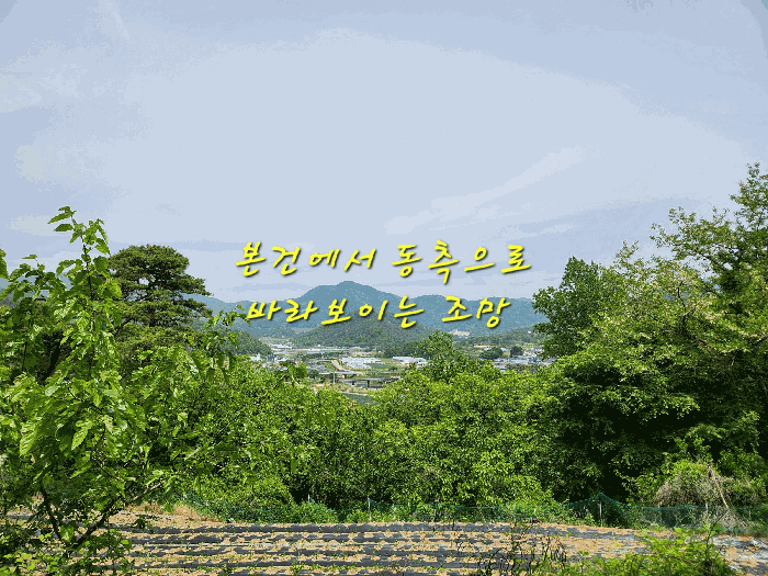 2025타경30817 사진