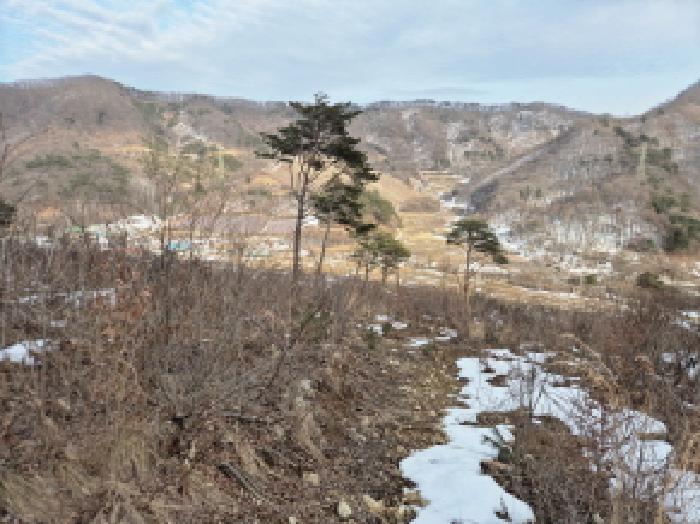2025타경30828 사진