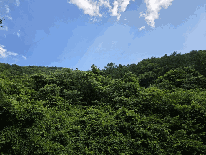 2025타경30865 사진