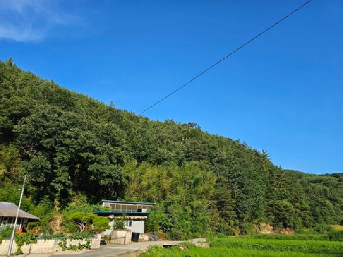 2025타경30884 사진