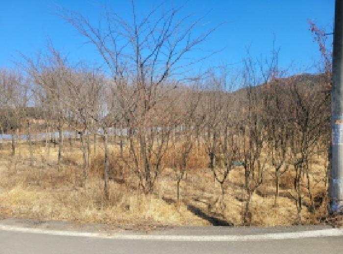 2025타경30904 사진
