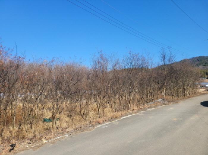 2025타경30904 사진