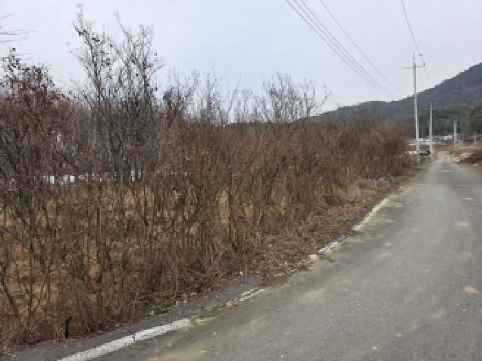 2025타경30904 사진