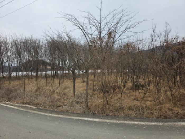 2025타경30904 사진
