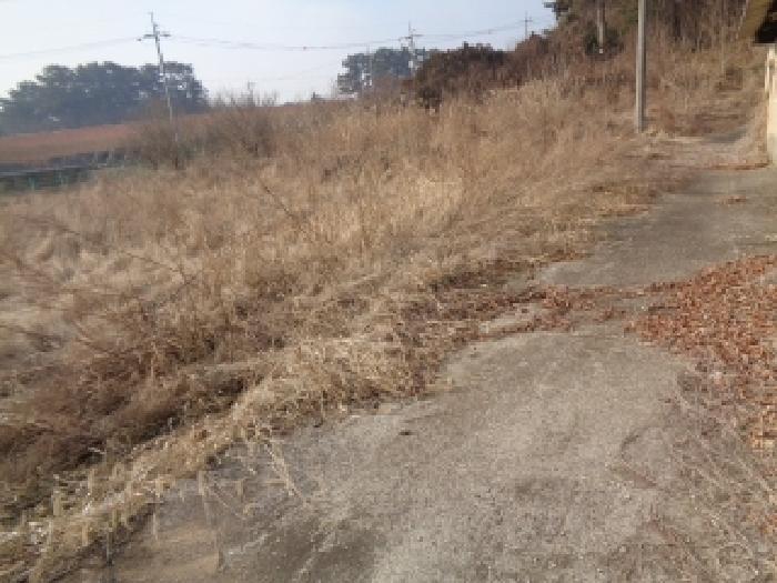 2025타경30928 사진