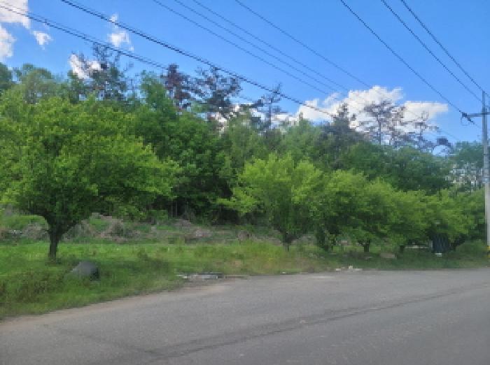 2025타경30973 사진