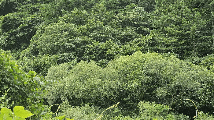 2025타경30978 사진