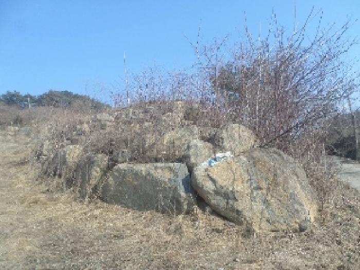 2025타경31003 사진