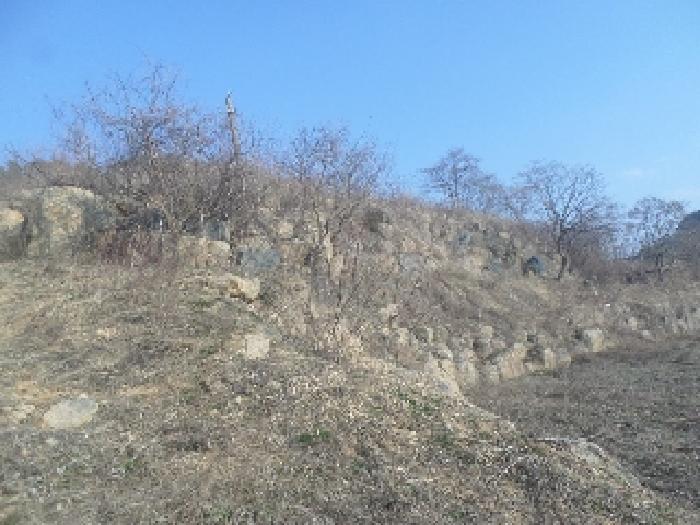 2025타경31003 사진