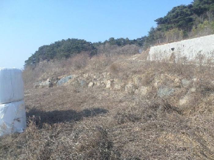 2025타경31003 사진