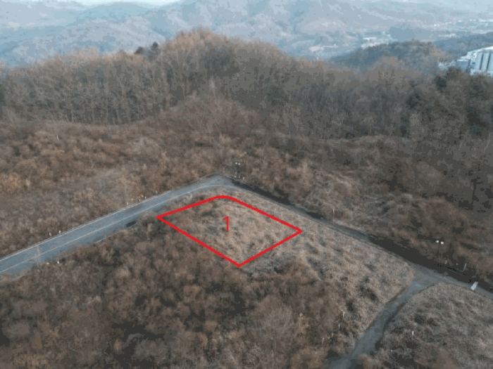 2025타경31029 사진