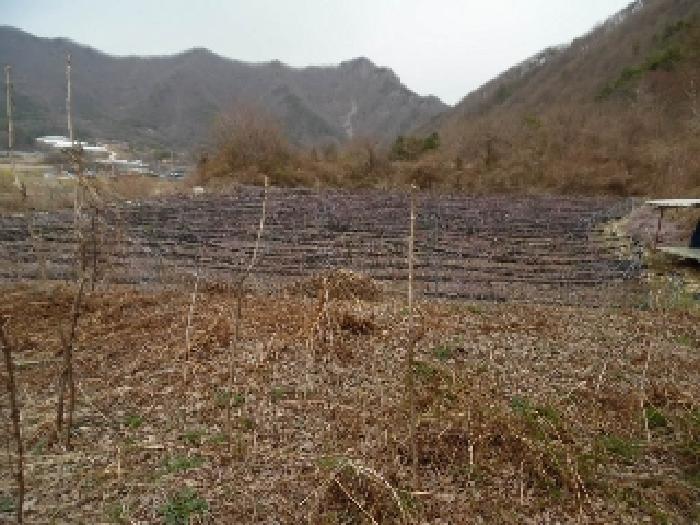 2025타경31065 사진