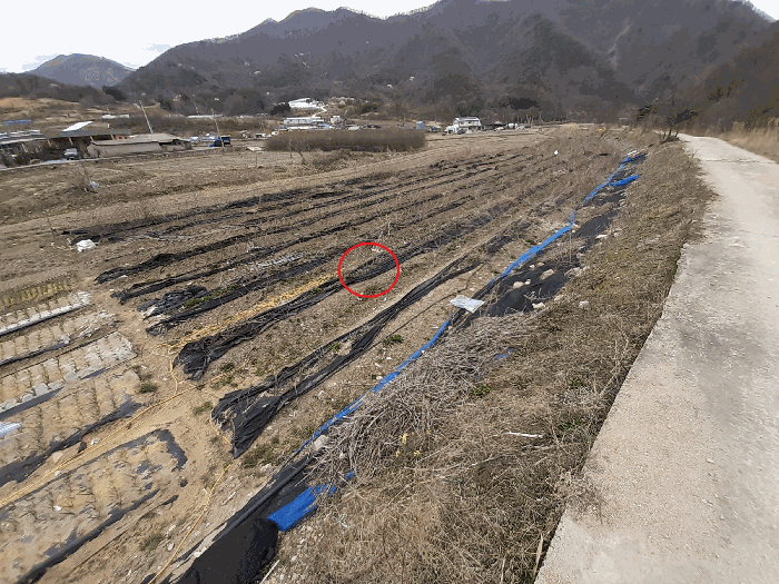 2025타경31065 사진