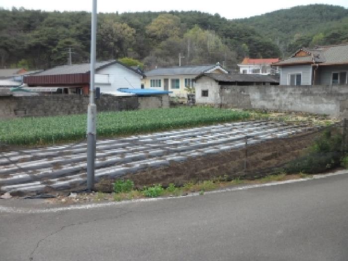 2025타경31069 사진