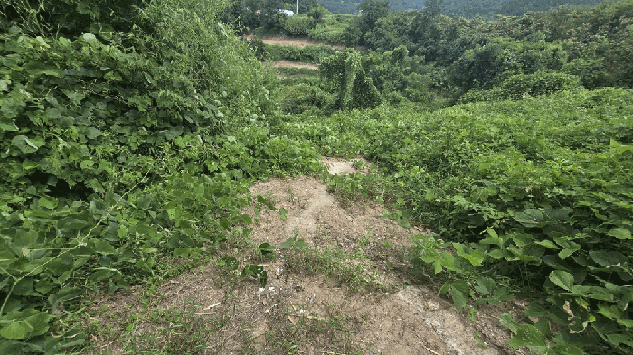 2025타경31082 사진