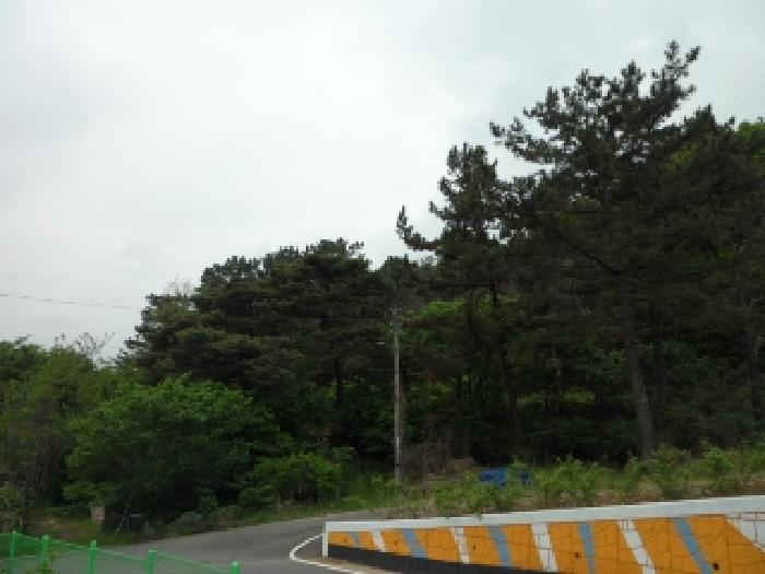 2025타경31098 사진