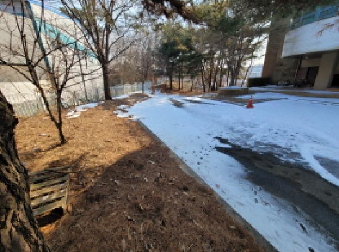 2025타경31142 사진