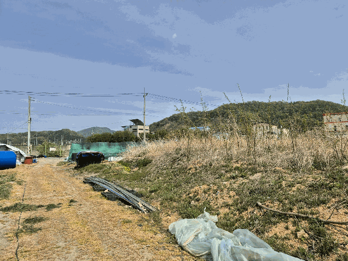 2025타경31153 사진