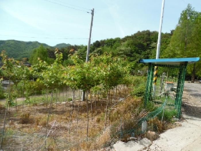 2025타경31217 사진