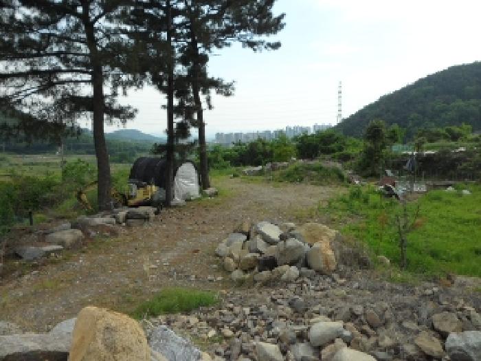 2025타경31228 사진