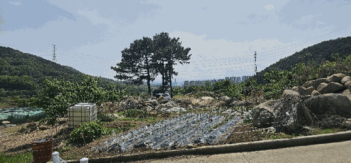 2025타경31228 사진