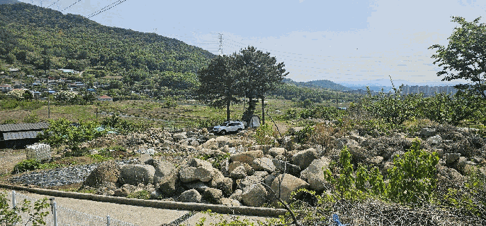 2025타경31228 사진
