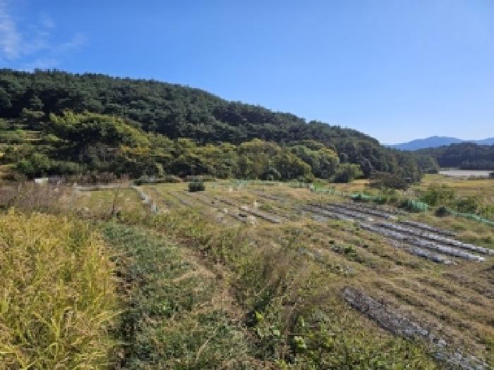 2025타경31242 사진