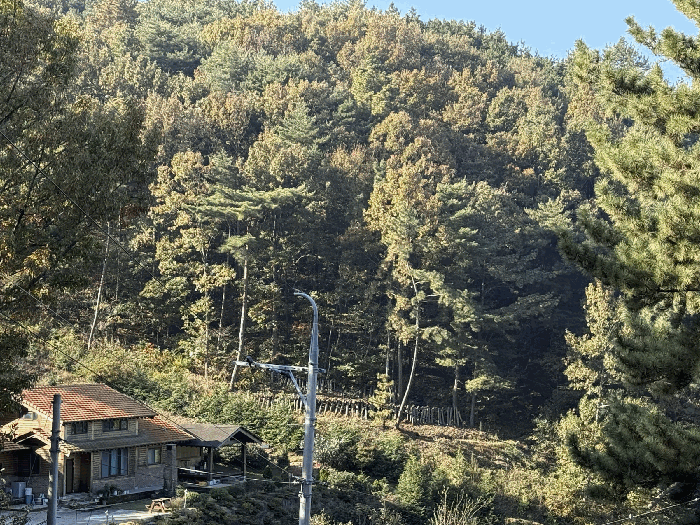 2025타경31305 사진