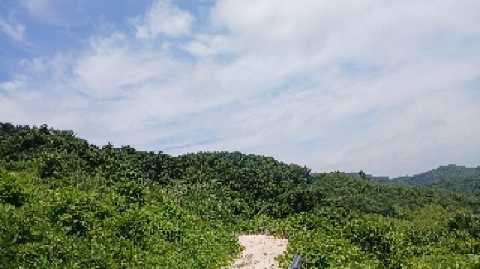 2025타경31349 사진