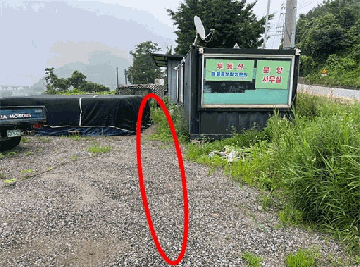 2025타경31363 사진
