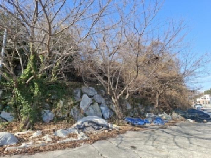 2025타경31443 사진