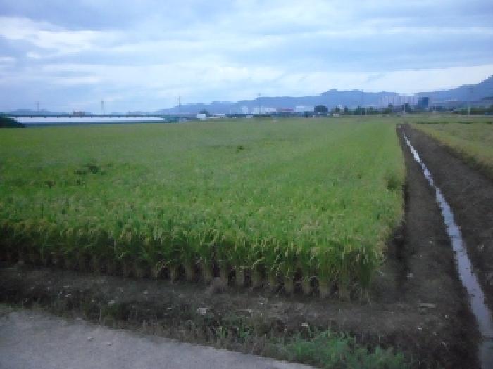 2025타경31578 사진