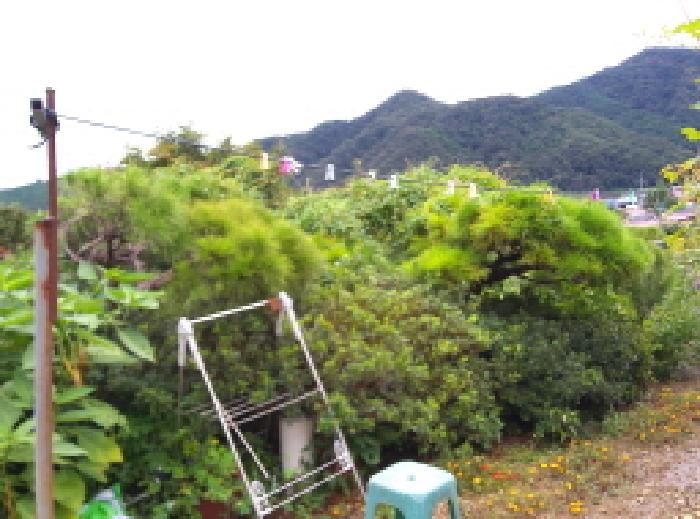 2025타경31655 사진