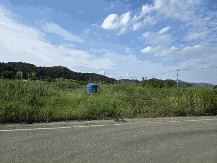 2025타경31692 사진