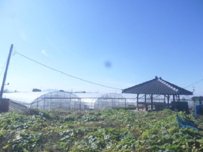 2025타경31815 사진